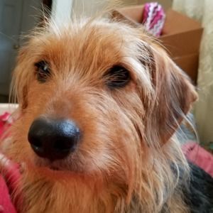 Meet your Posher, Rebecca